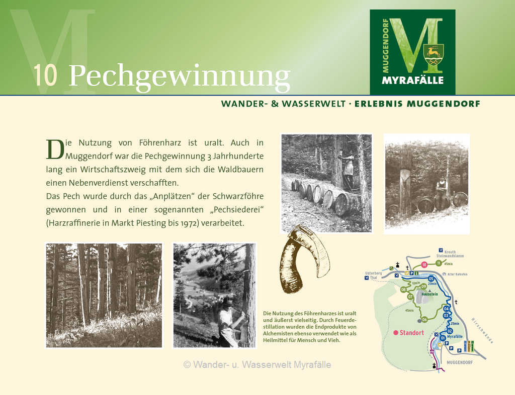 10.) Pechgewinnung