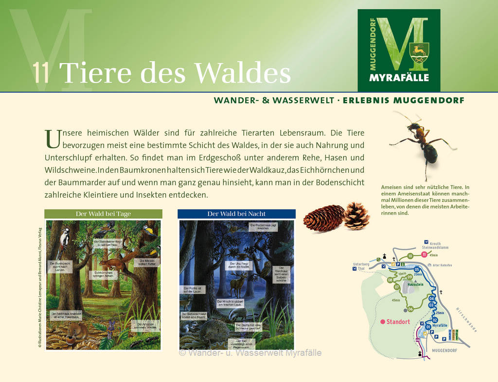 Themenstation 11.) Tiere des Waldes