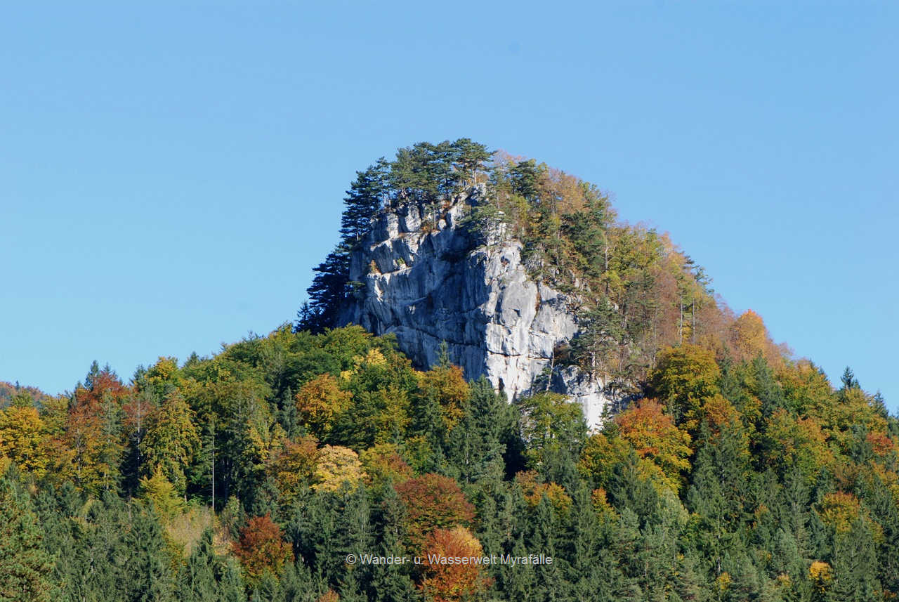 9.) Hausstein