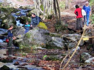 Herbstwanderung durch die Myrafälle