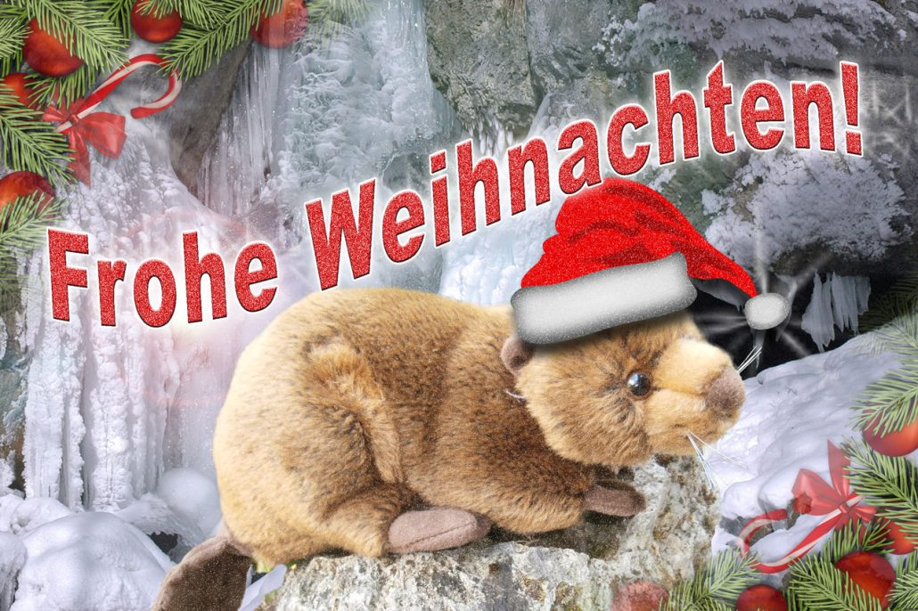 Frohe Weihnachten!