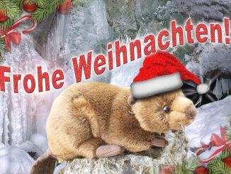 Frohe Weihnachten!