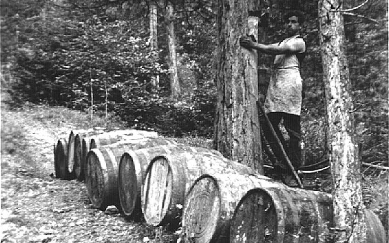 Ein Pecher bei der Arbeit Themenstation 10.) Pechgewinnung