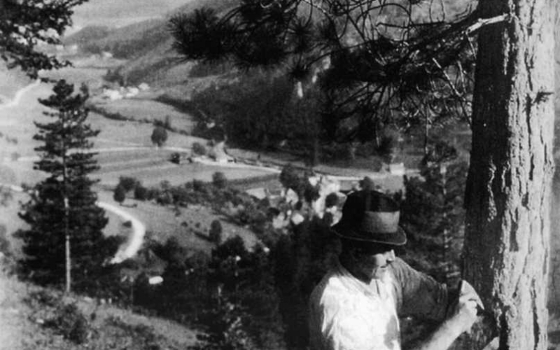 Das Pech wurde durch das "Anplätzen" gewonnen Themenstation 10.) Pechgewinnung