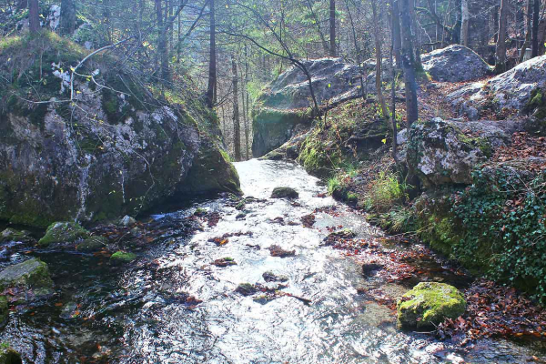 2.) Myrafälle