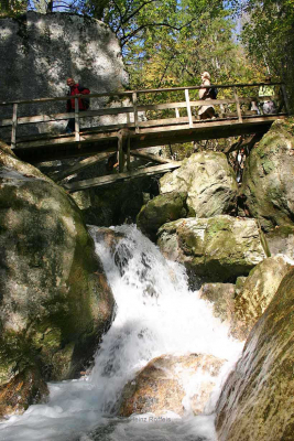 2.) Myrafälle
