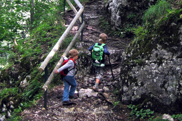 9.) Hausstein