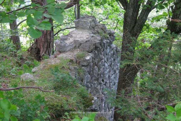9.) Hausstein