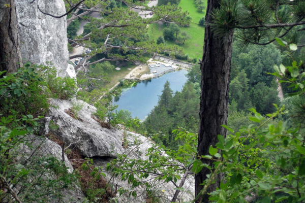 9.) Hausstein