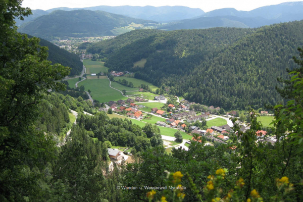 9.) Hausstein