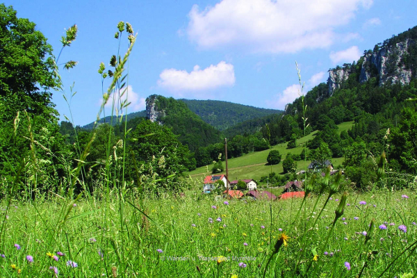 9.) Hausstein